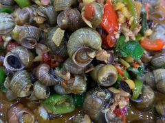 -全乐鱼馆·淳牌有机鱼直营店
