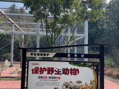 -潜山国家森林公园