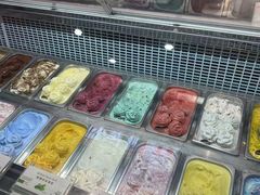 -iceason爱茜茜里·意大利健康冰淇淋(骑龙巷店)