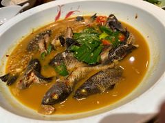 -陈先进鱼馆·夜宵·地道农家菜(湖墅南路店)