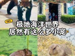 -海合安武汉极地海洋公园