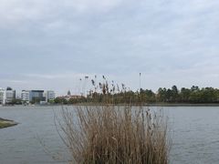 -美兰湖景区