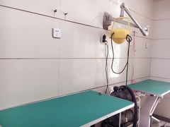 -北京观赏动物医院·24小时大型综合·猫专科·异宠专科