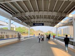 -深圳坪山站