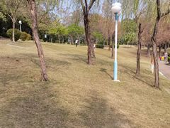 -深圳龙潭公园