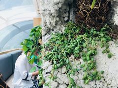 -农畉LONFOOD(福田星河COCOPark店)