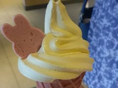-麦当劳(团结湖店)