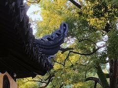-西园戒幢律寺