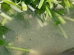-小杨翘脚牛肉