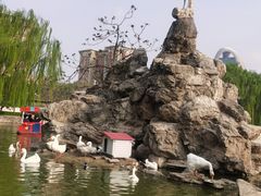 -团结湖公园