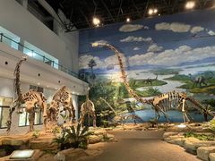 -自贡恐龙博物馆