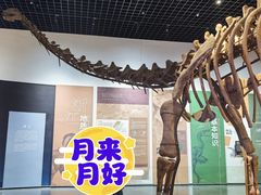 -衢州市博物馆