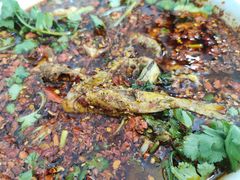 -胖大姐黄辣丁鱼庄(新津店)