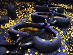 -成都市活水公园