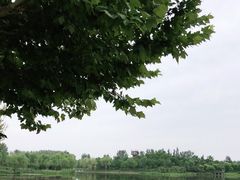 -东郊湿地公园