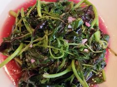 -小厨娘金榜题名(夫子庙秦淮河店)