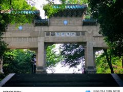 -灵谷景区