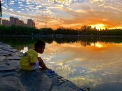 -五环公园