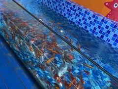 -秦皇岛新澳海底世界