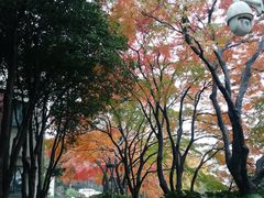 -上海市保健医疗中心