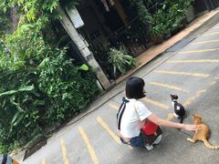 -莓园冰淇淋店