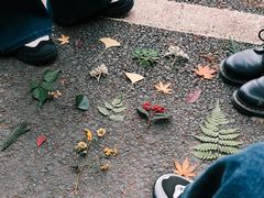 -山王坪喀斯特国家生态公园