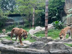 -深圳野生动物园