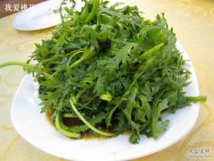 青岛&nbsp;021凉拌蓬蒿-海岛渔村大酒店(云霄路店)