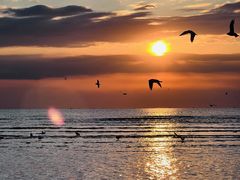 -北戴河转鱼·炒螃蟹酱餐厅