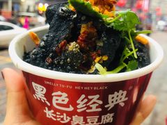 -黑色经典臭豆腐·湖南特产(坡子街店)