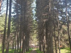 -黑龙江省森林植物园