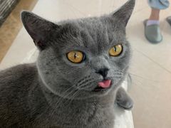 -Catmate·猫肥家润(金润铂宫店)