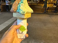 -柠檬车露(卖草地店)