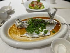 藤椒蒸白鱼-湛江菜.江南首席(昆山店)