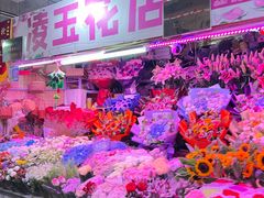 -花鸟鱼虫鲜花绿植市场(玉泉路店)