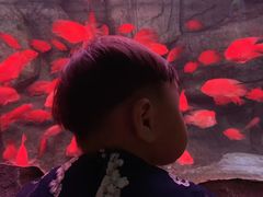 -泉城欧乐堡海洋极地世界