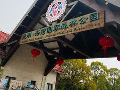 -上海海湾国家森林公园