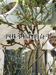 -小洁美甲美睫半永久定妆