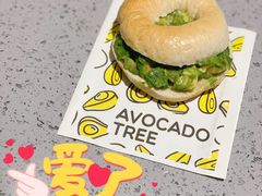 -油梨树AVOCADO TREE(嘉里中心店)