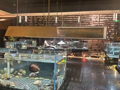 -璞御·海鲜·雪花牛肉局(宾水西道店)