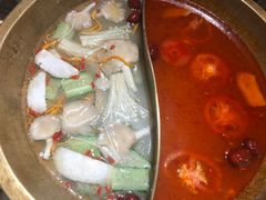 番茄鸳鸯锅-小龙坎火锅(东汇城店)
