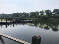 -溱湖国家湿地公园