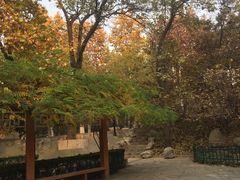 -西安市长乐公园