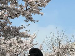 -龙美术馆(西岸馆)