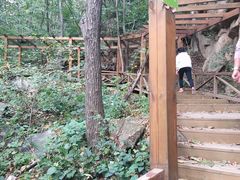 -大岭沟猕猴桃谷风景区