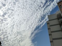 -广东金融学院(校本部)