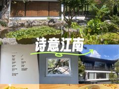 -日出青木