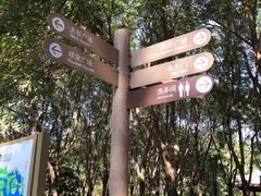 -大兴滨河森林公园