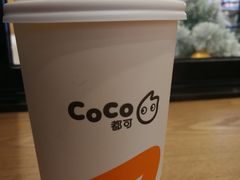 -CoCo都可(合生汇店)