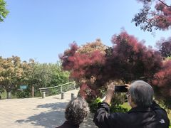 -南翠屏公园